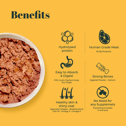 Indiecat Kitten Chicken Royal Growth (80g packs)