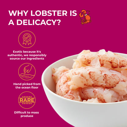 Purrkins Exotic Gourmet Treats – Lobster & Chicken | 40g