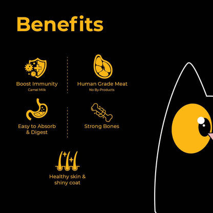 Purrkins Chicken & Liver Pudding Meal (80g packs)