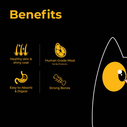 Purrkins Fish Broth Lite (80g packs)