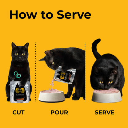 Purrkins Fish Broth Lite (80g packs)