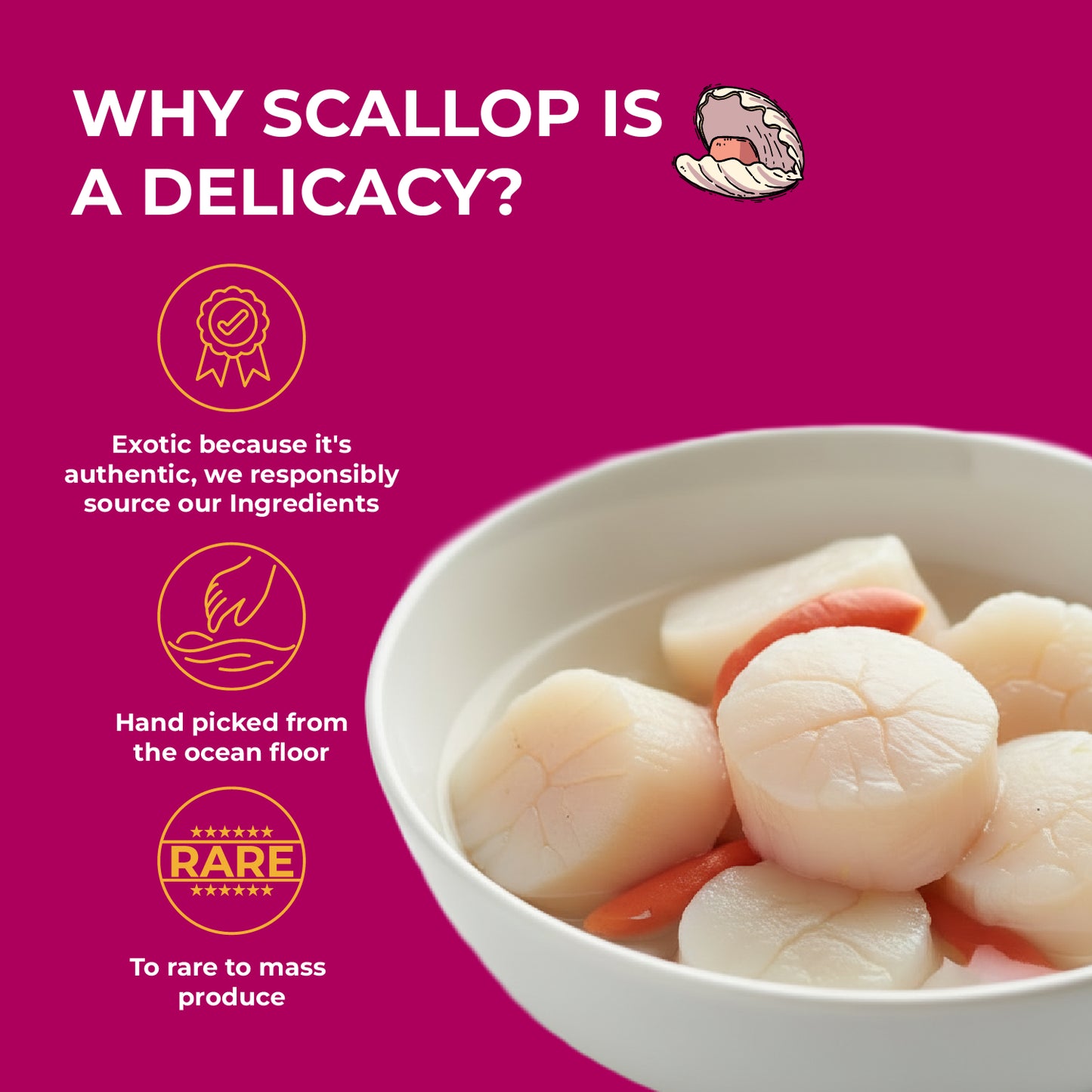 Purrkins Exotic Gourmet Treats – Scallop & Chicken | 40g
