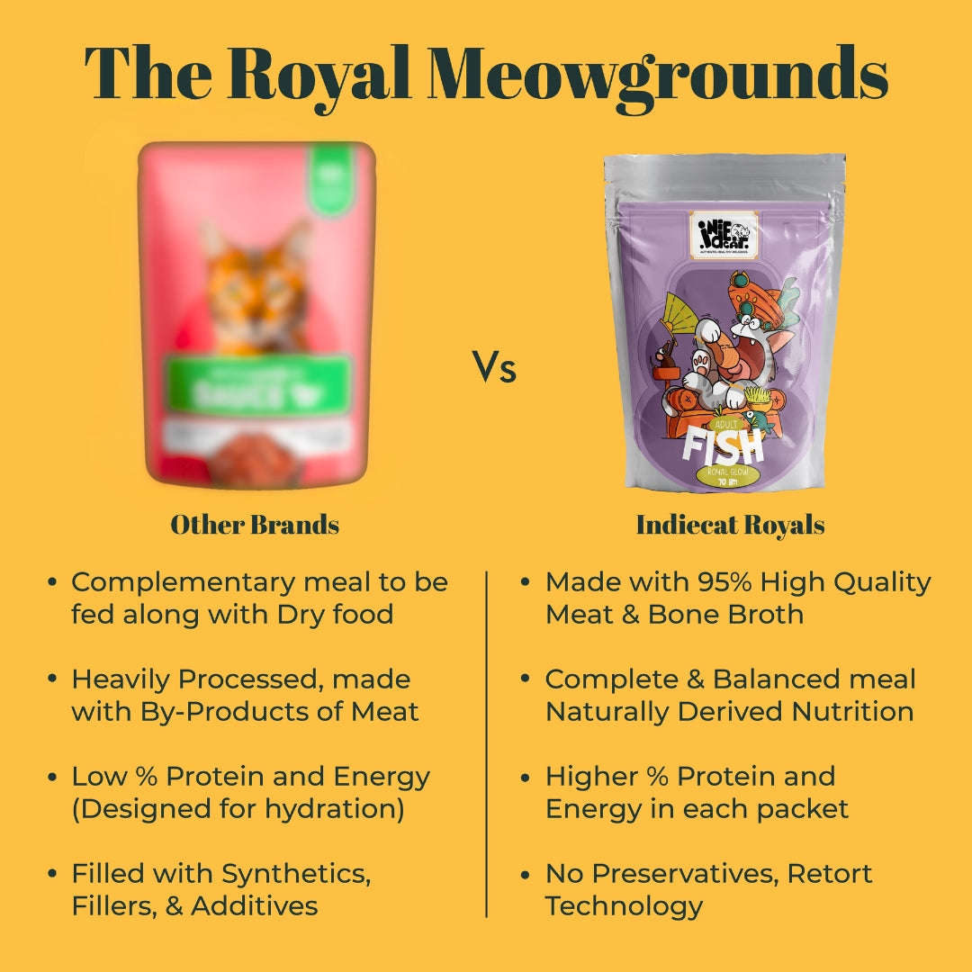 Purrkins x IndieCat Adult Fish Royal Glow (70g packs) Pets of Paradise