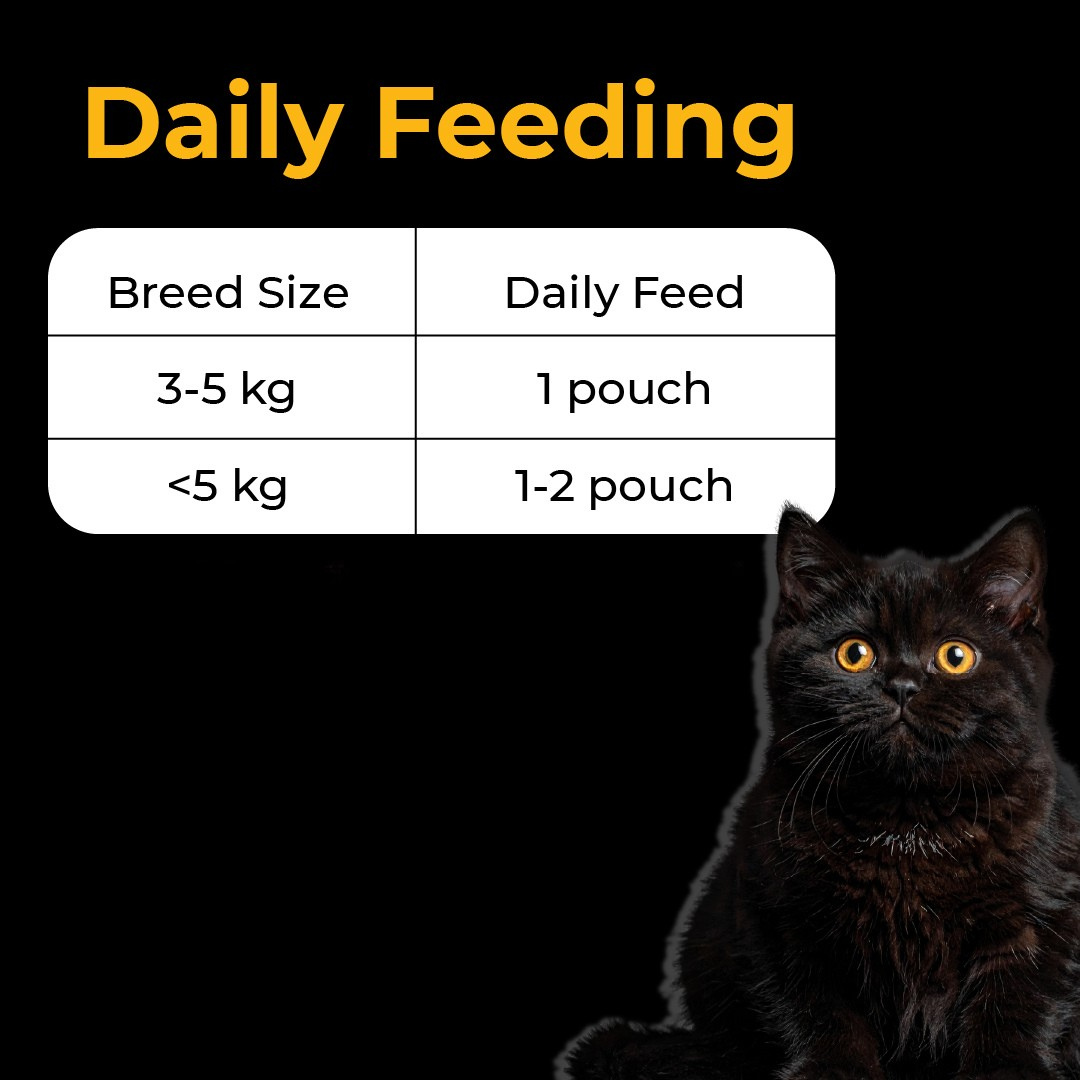 Purrkins Fish Broth Meal (70g packs)