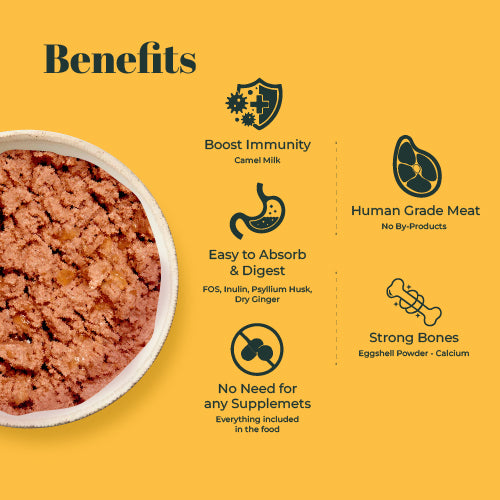 Indiecat Adult Chicken & Liver Royal Pate (80g Packs)