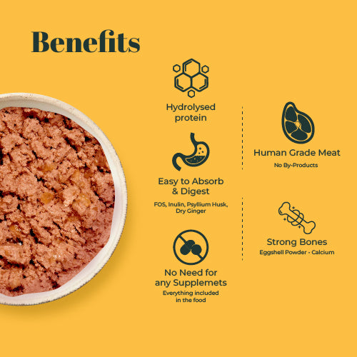 Indiecat Kitten Chicken Royal Growth (80g packs)