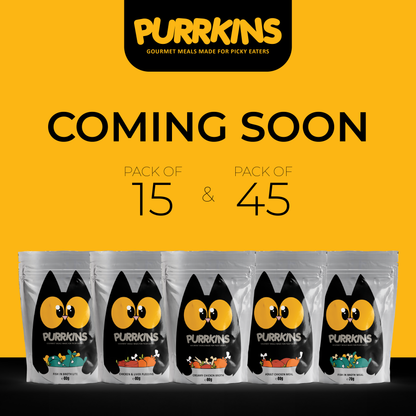 Purrkins Creamy Chicken Broth (80g packs)