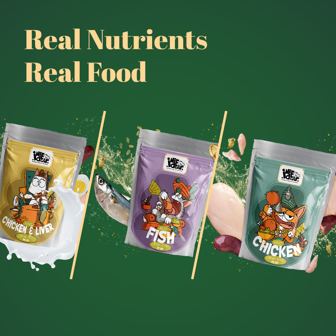 IndieCat Royal Trial Pack